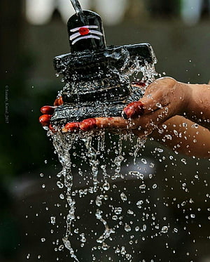 Devotee Performing Abhishekam Ritual on a Black Shiva Lingam with Water and Red Flowers HD phone wallpaper