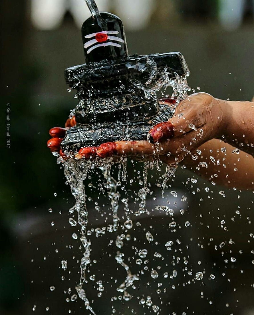 Devotee Performing Abhishekam Ritual on a Black Shiva Lingam with Water and Red Flowers HD phone wallpaper