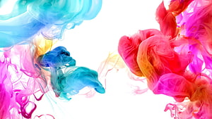 Vibrant Colorful Ink Swirls in Water with Blue, Pink, and Orange Hues on White Background HD wallpaper