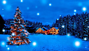 Magical Winter Night with Snowy Christmas Tree and Glowing Cabin Lights HD wallpaper