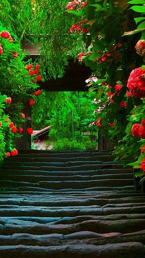 Serene Stone Steps Leading Through a Lush Garden Archway with Vibrant Red Flowers and Green Foliage HD phone wallpaper