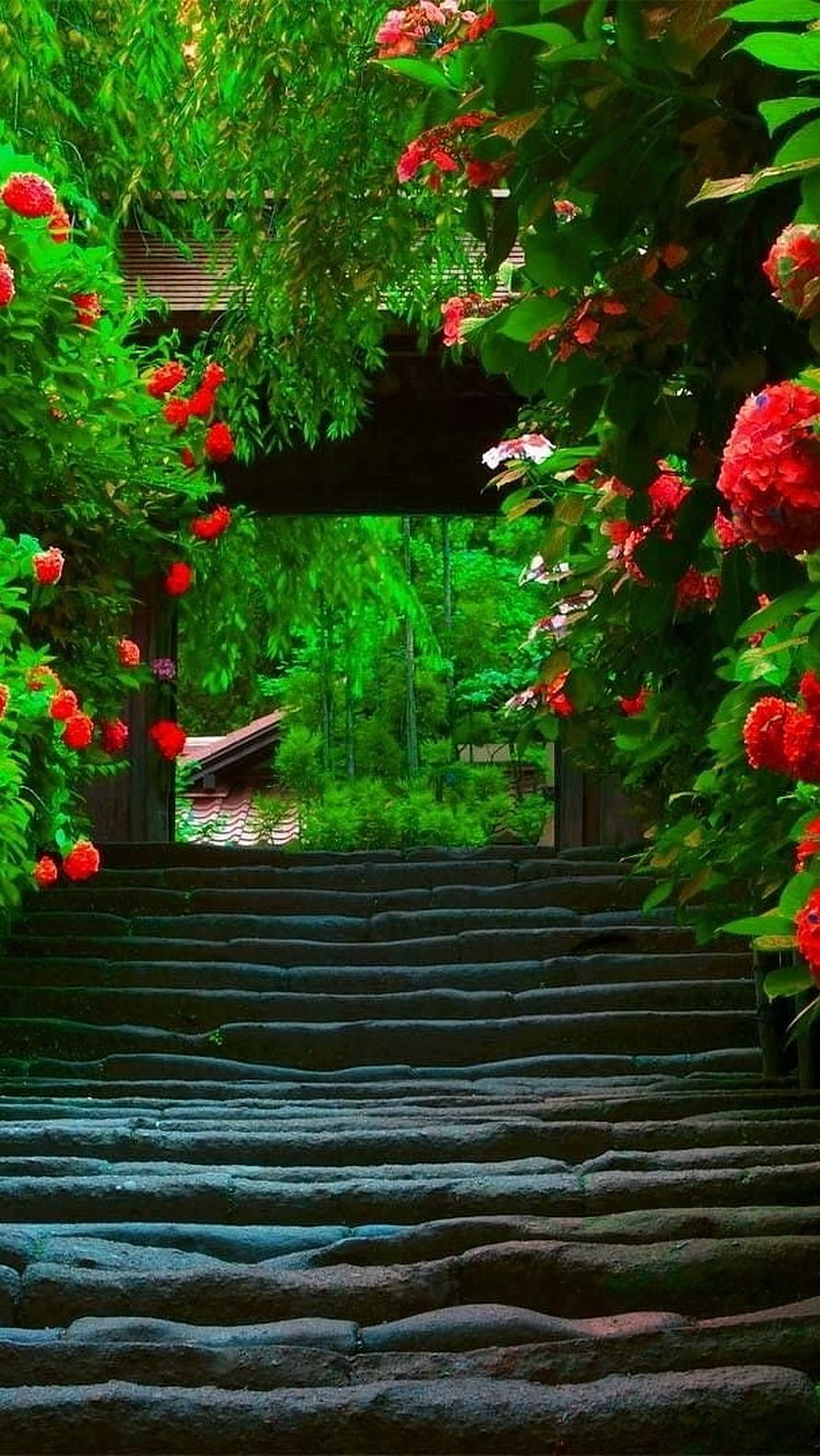 Serene Stone Steps Leading Through a Lush Garden Archway with Vibrant Red Flowers and Green Foliage HD phone wallpaper
