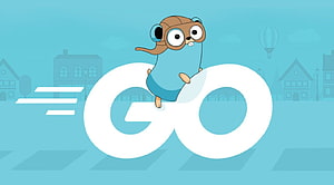 Go Programming Language Gopher Mascot Riding Giant Logo in Cartoon Style HD wallpaper