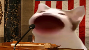 Popcat meme cat with wide open mouth at a podium with gavel and American flag backdrop HD wallpaper