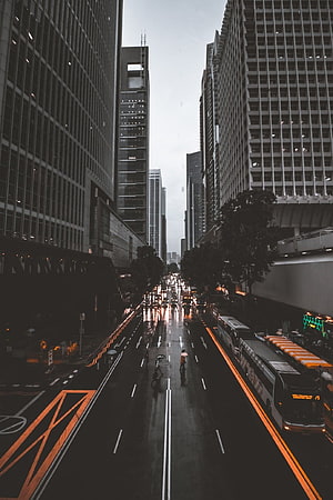 Moody Urban Street View With Wet Asphalt And Towering Skyscrapers HD phone wallpaper