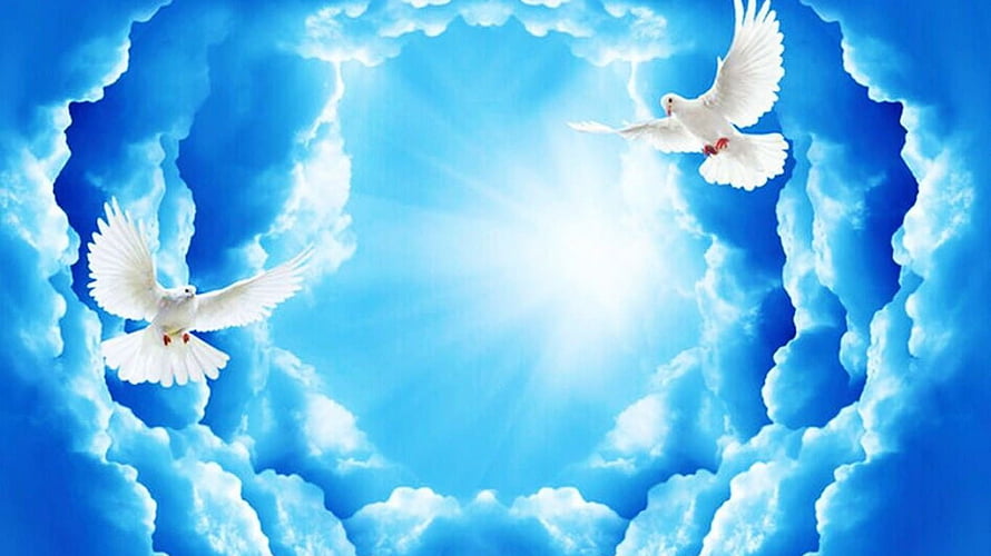 Two White Doves Flying in a Circle of Clouds with Divine Sunlight HD wallpaper