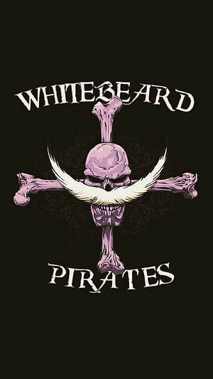Whitebeard Pirates Jolly Roger Logo from One Piece Anime HD phone wallpaper