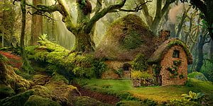 Enchanted Moss-Covered Cottage in a Misty Ancient Forest with Sunbeams HD wallpaper