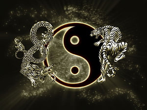 Metallic Dragon and Tiger Flanking a Glowing Yin Yang Symbol on a Dark Starry Background HD wallpaper