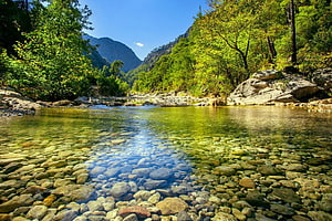 Crystal Clear Mountain Stream With Rocky Bottom And Lush Green Forest Banks HD wallpaper