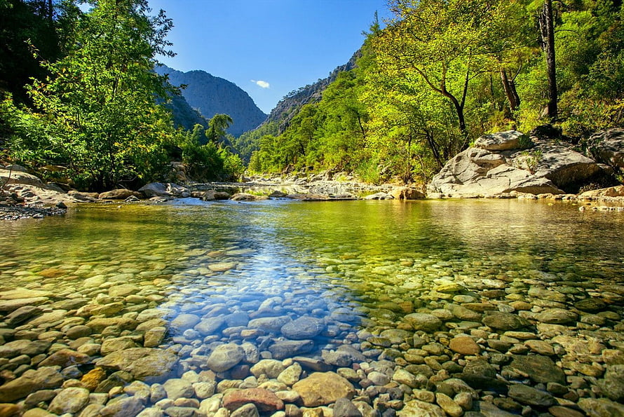 Crystal Clear Mountain Stream With Rocky Bottom And Lush Green Forest Banks HD wallpaper