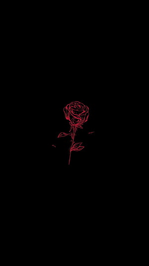 Minimalist Red Rose Line Art on Black Background HD phone wallpaper