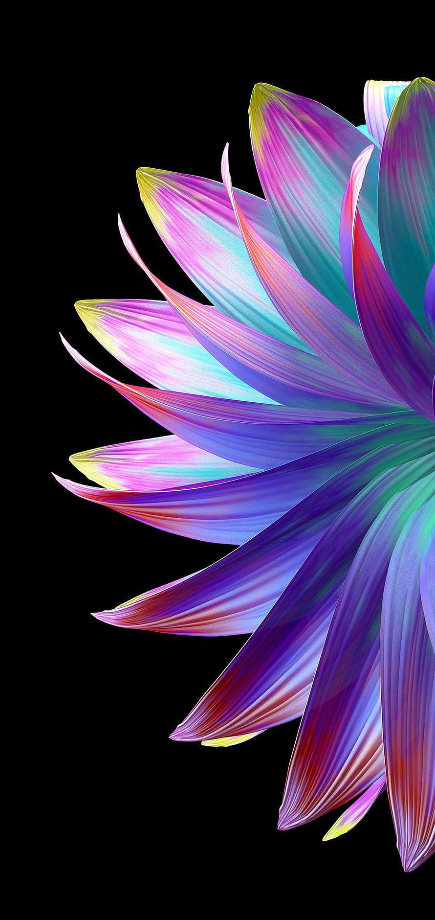 Vibrant Rainbow Abstract Flower Petals on Black Background HD phone wallpaper