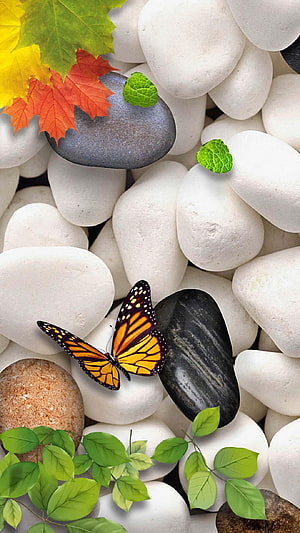 Monarch Butterfly on White Pebbles with Autumn Leaves and Green Foliage HD phone wallpaper