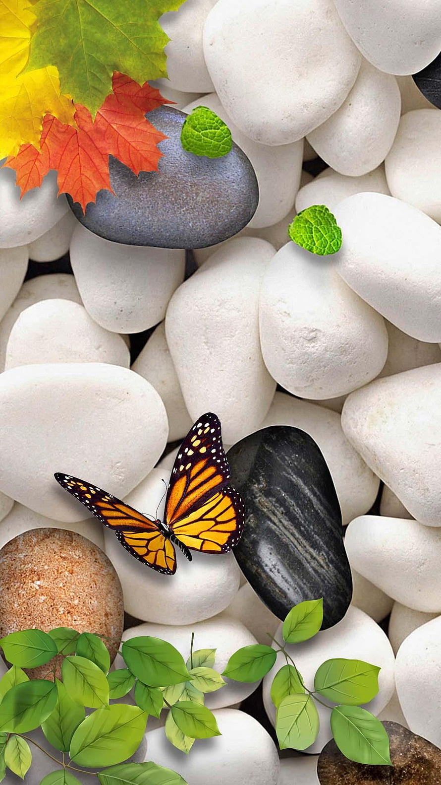 Monarch Butterfly on White Pebbles with Autumn Leaves and Green Foliage HD phone wallpaper