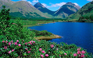 Scenic View of Glencoe Lochan in Scotland with Pink Rhododendrons and Mountains HD wallpaper
