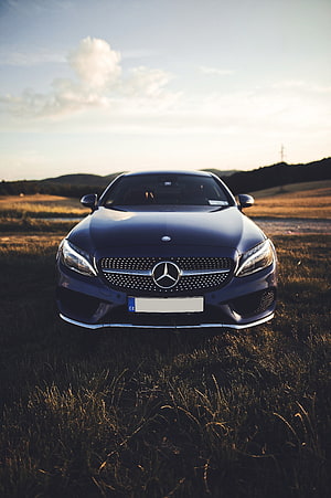 Mercedes-Benz CLS-Class Front View in Golden Hour Field HD phone wallpaper