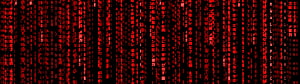 Red Matrix Code Rain Digital Wallpaper HD wallpaper
