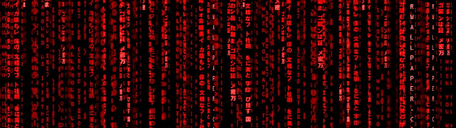 Red Matrix Code Rain Digital Wallpaper HD wallpaper