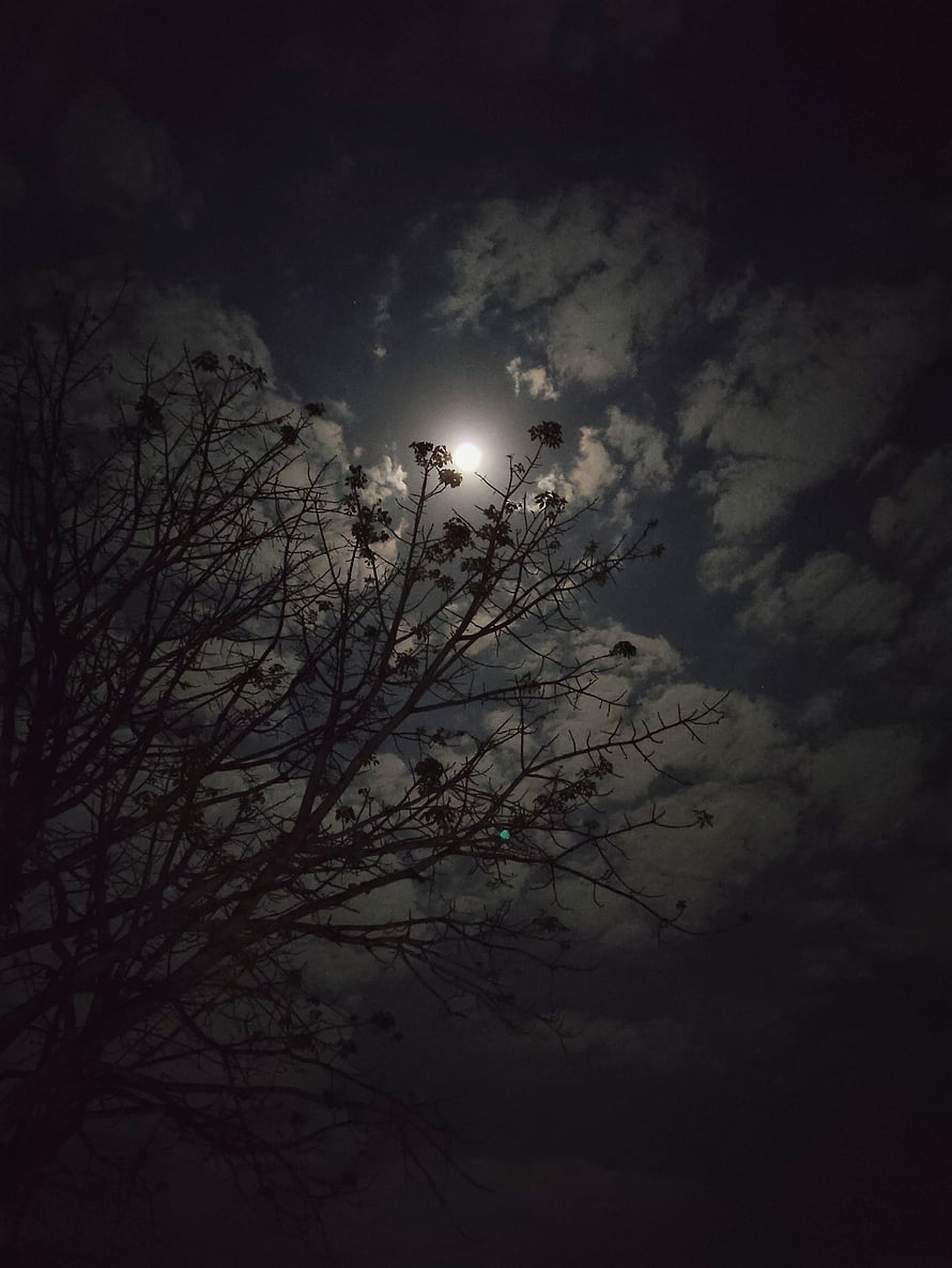 Silhouette of bare tree branches against a bright full moon and dark cloudy night sky HD phone wallpaper
