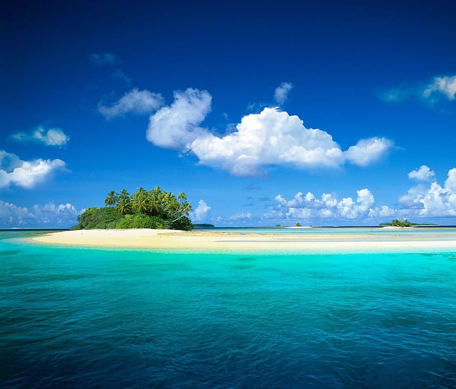 Tropical Island with Palm Trees and Turquoise Water Under a Blue Sky HD wallpaper