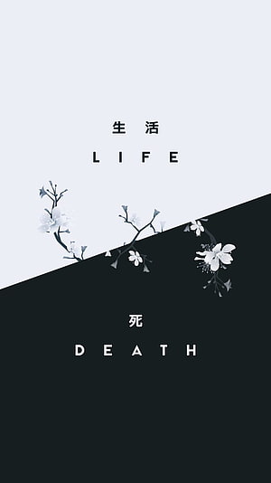 Minimalist Life and Death Concept with Cherry Blossoms HD phone wallpaper