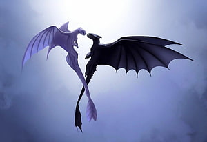 Toothless and Light Fury Dragons Flying Together in Misty Sky HD wallpaper