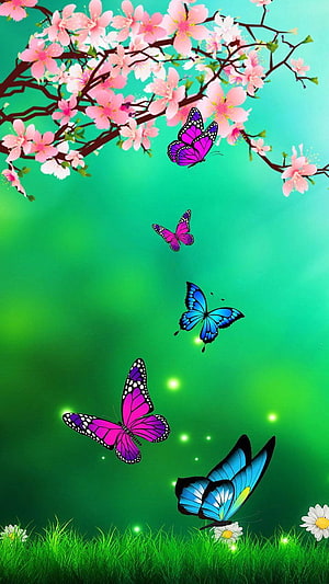 Colorful Butterflies Flying Among Pink Cherry Blossoms and Green Grass HD phone wallpaper
