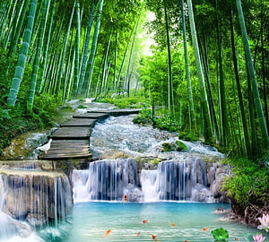 Serene Bamboo Forest Waterfall with Turquoise Pool and Koi Fish HD wallpaper