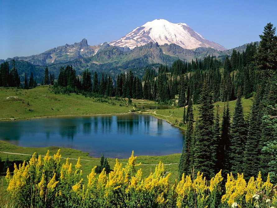 Mount Rainier National Park Scenic View with Reflection Lake and Wildflowers HD wallpaper