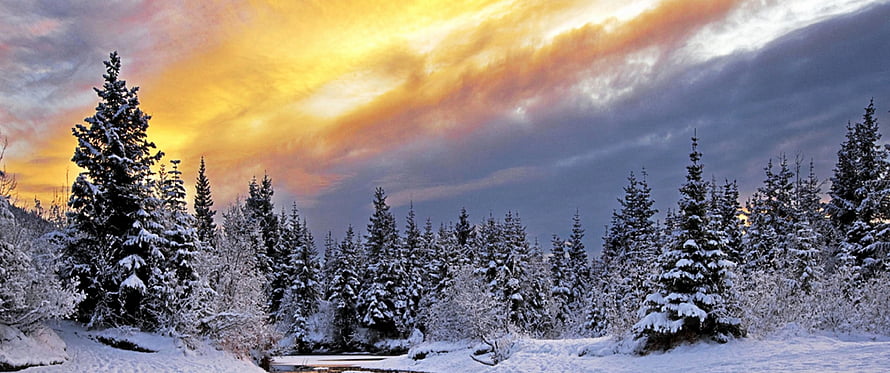 Snowy Evergreen Forest at Sunset with Dramatic Orange and Blue Sky HD wallpaper