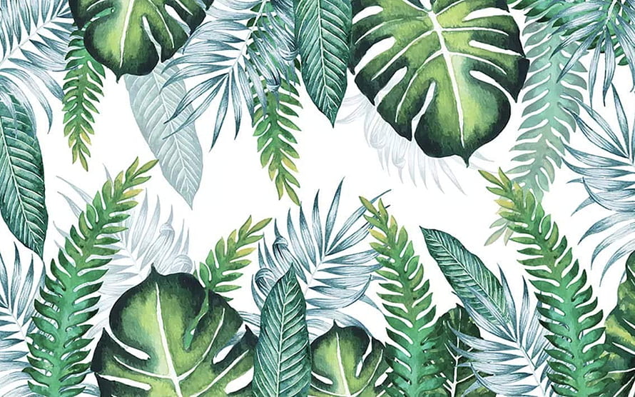 Watercolor Tropical Leaf Pattern with Monstera and Palm Fronds on White Background HD wallpaper