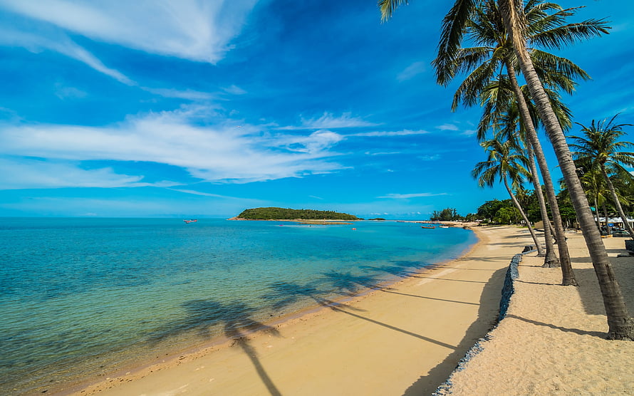 Sunny tropical coastline with leaning palm trees, turquoise water, and a distant green island under a bright blue sky HD wallpaper