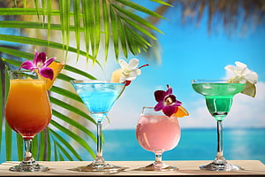 Colorful Tropical Cocktails With Orchid Garnishes On A Beach Bar HD wallpaper