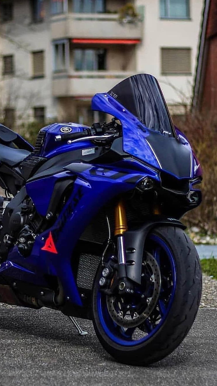 Blue Yamaha R1 Motorcycle Front View With Gold Forks HD phone wallpaper