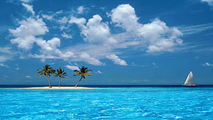 Tropical Island with Palm Trees and Sailboat in Turquoise Ocean HD wallpaper