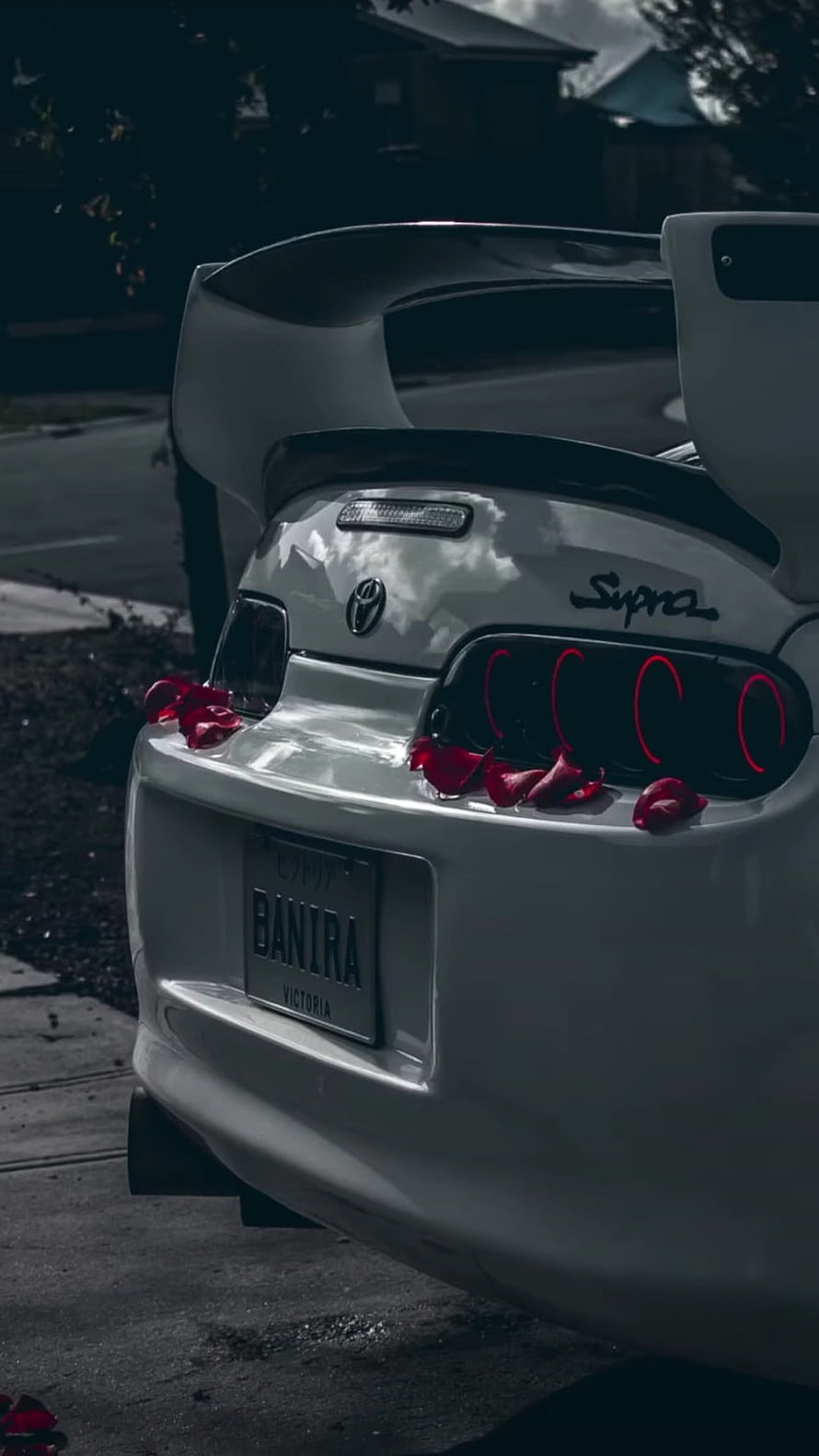 White Toyota Supra MK4 Rear View With Large Spoiler And Red Rose Petals HD phone wallpaper