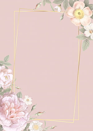 Elegant Pastel Pink Floral Frame with Gold Geometric Lines and Watercolor Roses HD phone wallpaper