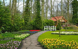 Spring Garden Path With Colorful Tulip Beds And White Footbridge HD wallpaper