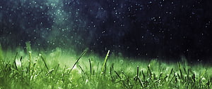 Vibrant Green Grass Blades Under Rainfall With Dramatic Bokeh Background HD wallpaper