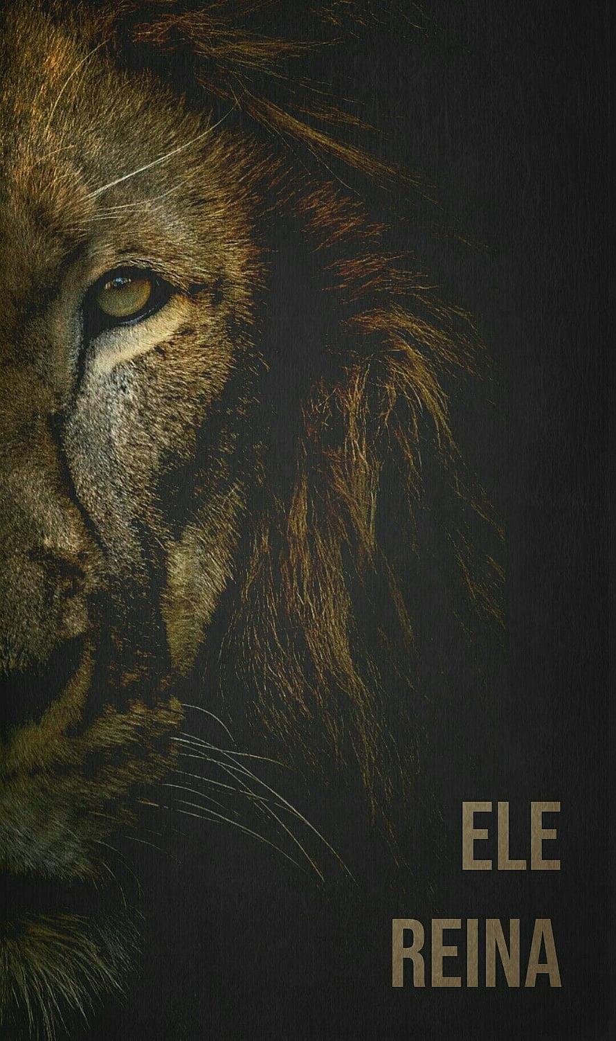 Close-up portrait of a majestic male lion with intense golden eyes and dark mane against a black background, Leão de Judá Papel De Parede Jesus, Papel De Parede Cristão, Deus, Deus Somente Deus, Identidade Em Cristo, F. Jesus , Heaven art, Jesus freak, Jesus Lion HD phone wallpaper