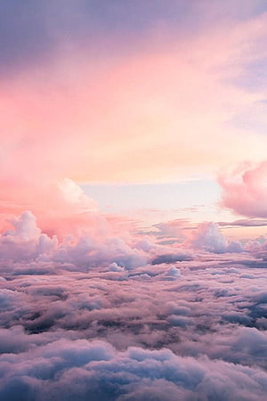 Pastel Pink Sky Above a Sea of Fluffy Clouds at Sunset HD phone wallpaper