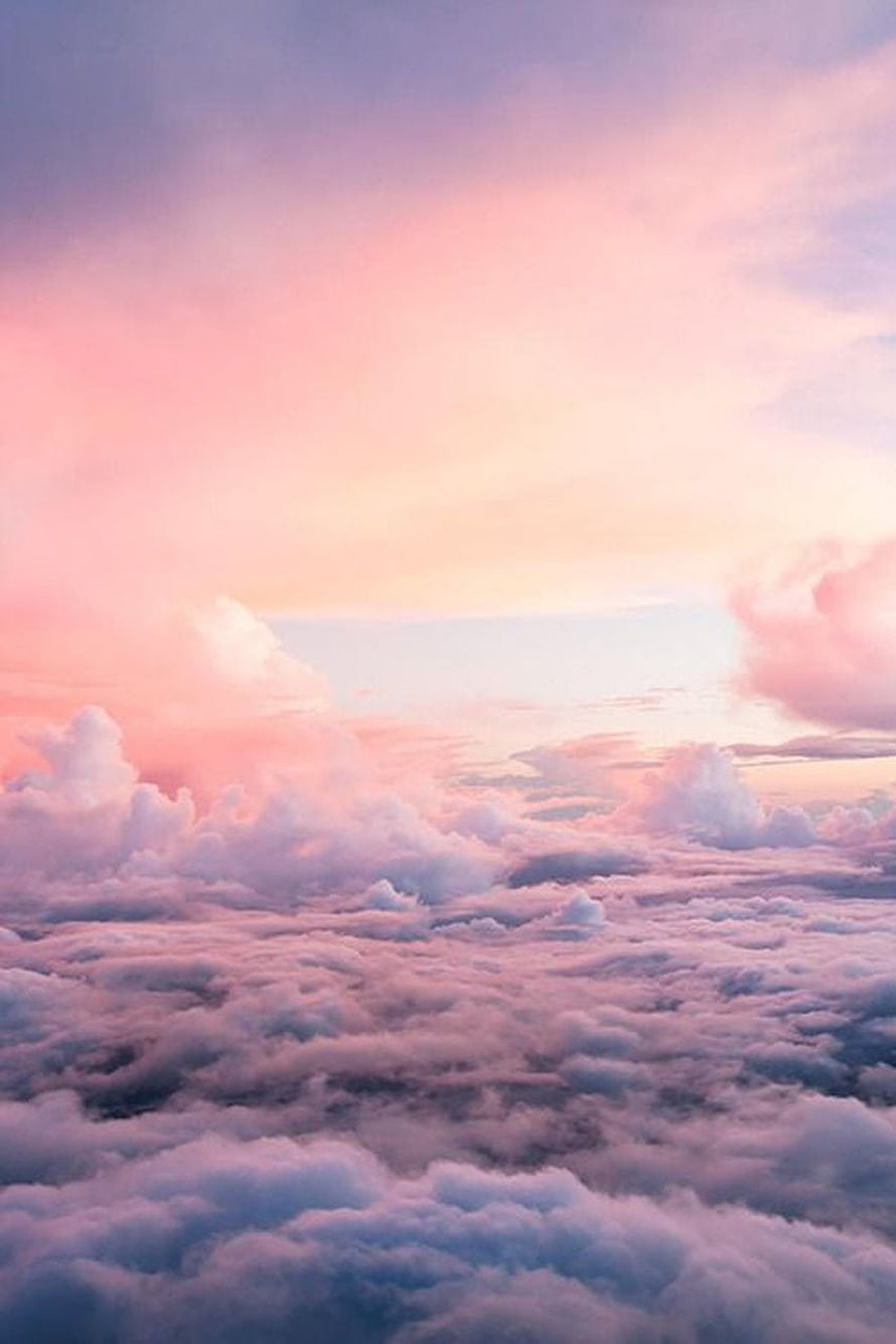 Pastel Pink Sky Above a Sea of Fluffy Clouds at Sunset HD phone wallpaper
