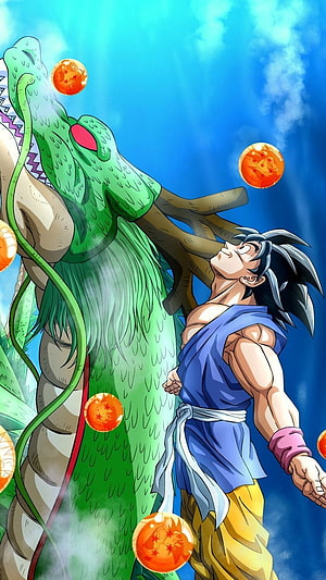 Goku and Shenron Dragon Ball Z Anime Wallpaper HD phone wallpaper