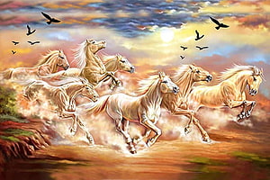Herd of White Horses Galloping at Sunset HD wallpaper