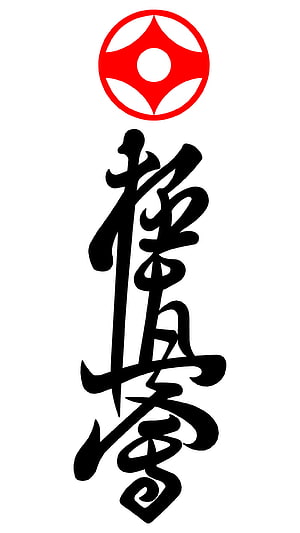 Kyokushin Karate Kanji Calligraphy With Red Emblem On White Background HD phone wallpaper