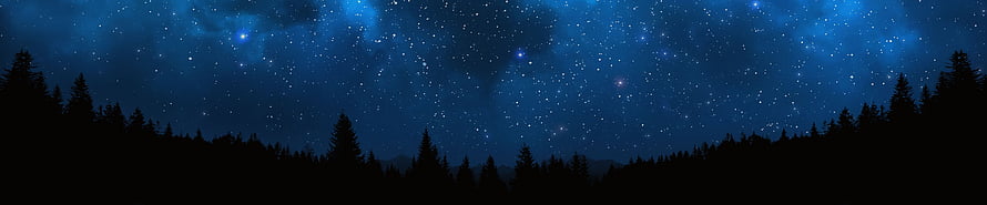 Starry Night Sky Over Silhouetted Pine Forest Landscape HD wallpaper