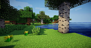 Minecraft Birch Forest Landscape With River And Yellow Flowers HD wallpaper