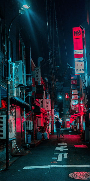 Neon-lit Japanese alleyway at night with a man walking his dog past glowing red and blue signs, Vaporwave Aesthetic Japan City, Japan Cityscape HD phone wallpaper