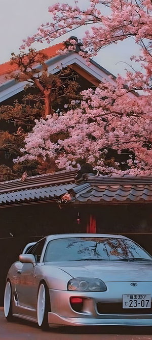 Silver Toyota Supra A80 parked under blooming cherry blossoms near traditional Japanese temple HD phone wallpaper